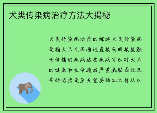 犬类传染病治疗方法大揭秘